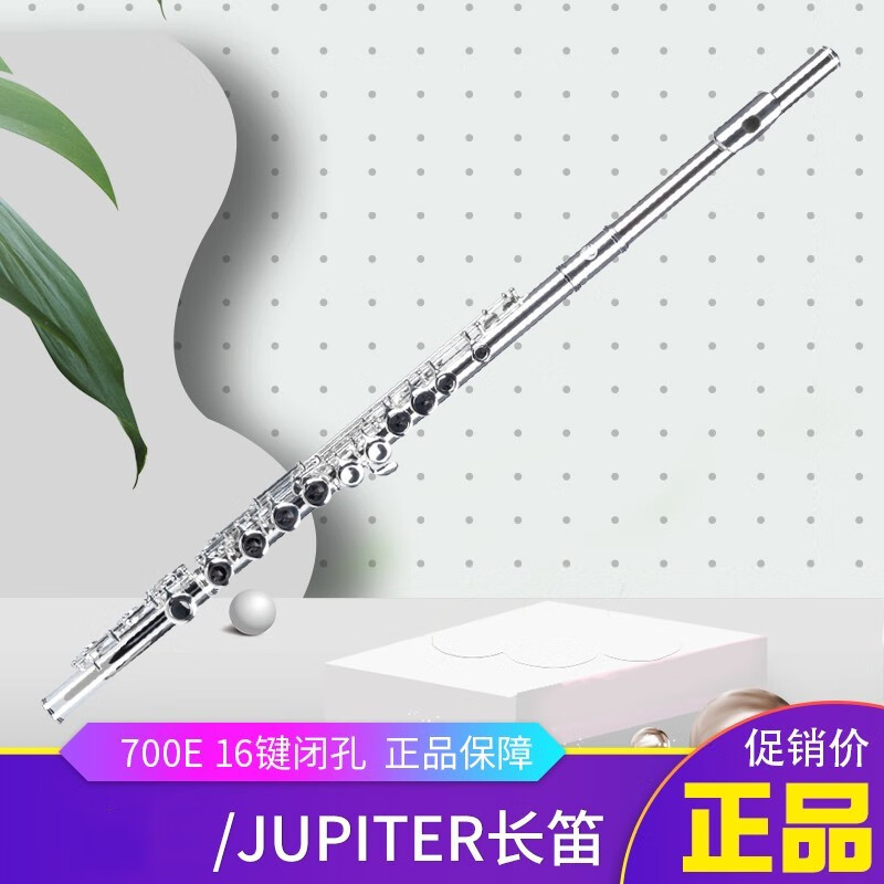 秋骏长笛JFL-700E乐器镀银初学易上手16键闭孔 杰普特长笛
