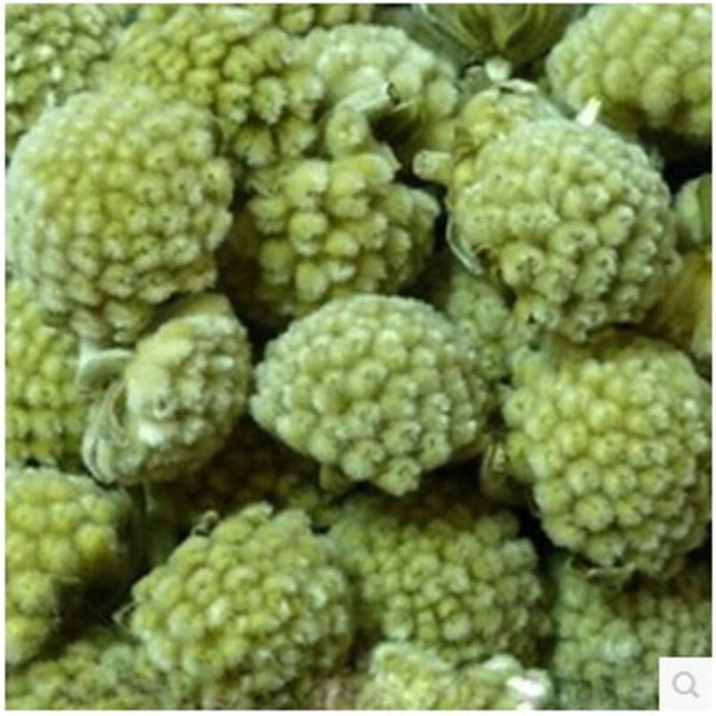 西藏新货绿萝花茶500g 绿箩绿罗花茶雪丽克【优选 图片色