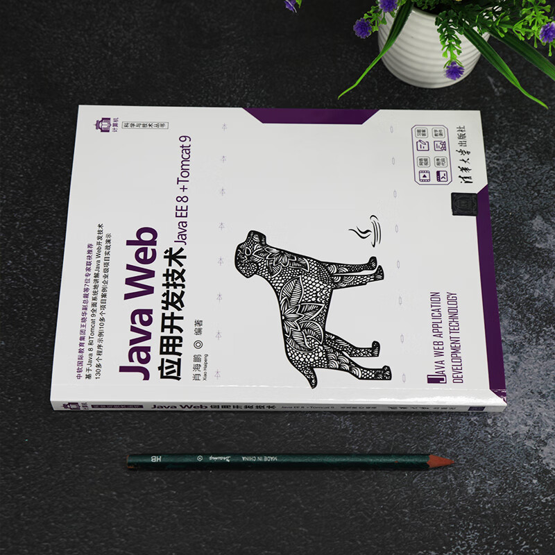 Java Web应用开发技术(Java EE 8 +Tomcat 9)（计算机科学与技术丛书）