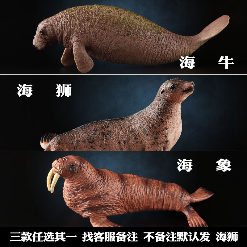 海狮,海象,海牛(3选1)【联系客服备注,不备注默