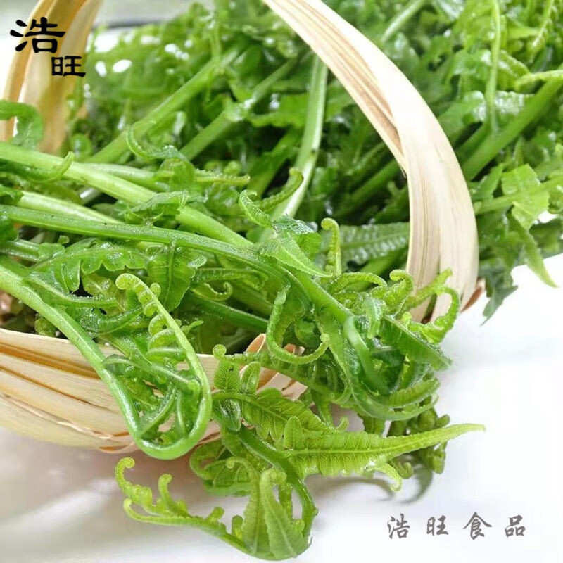 嘉凡雷广西农家野菜新鲜蕨菜新鲜水蕨菜鲜嫩拳头菜 猫爪菜蕨菜尾 3斤
