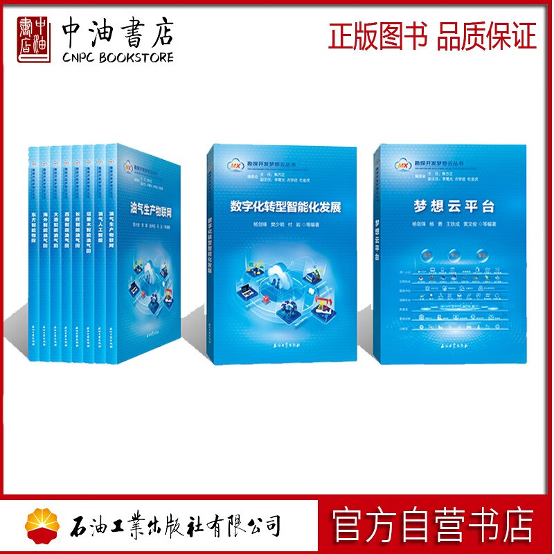 勘探开发梦想云丛书