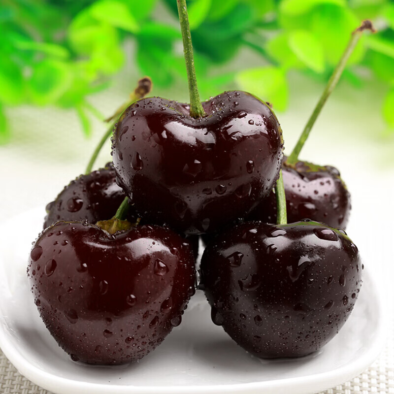 皓谦【京鲜配送】【jd快递】车厘子樱桃新鲜车里子jj现货当季孕妇水果