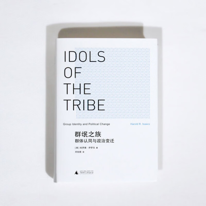 群氓之族:群体认同与政治变迁 哈罗德 伊