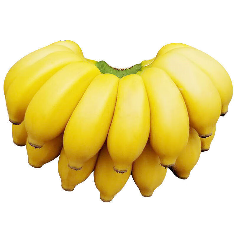 l【大】苹果蕉小米蕉新鲜水果香蕉水果批发香蕉批发平安果 3斤装净重【大】小米蕉