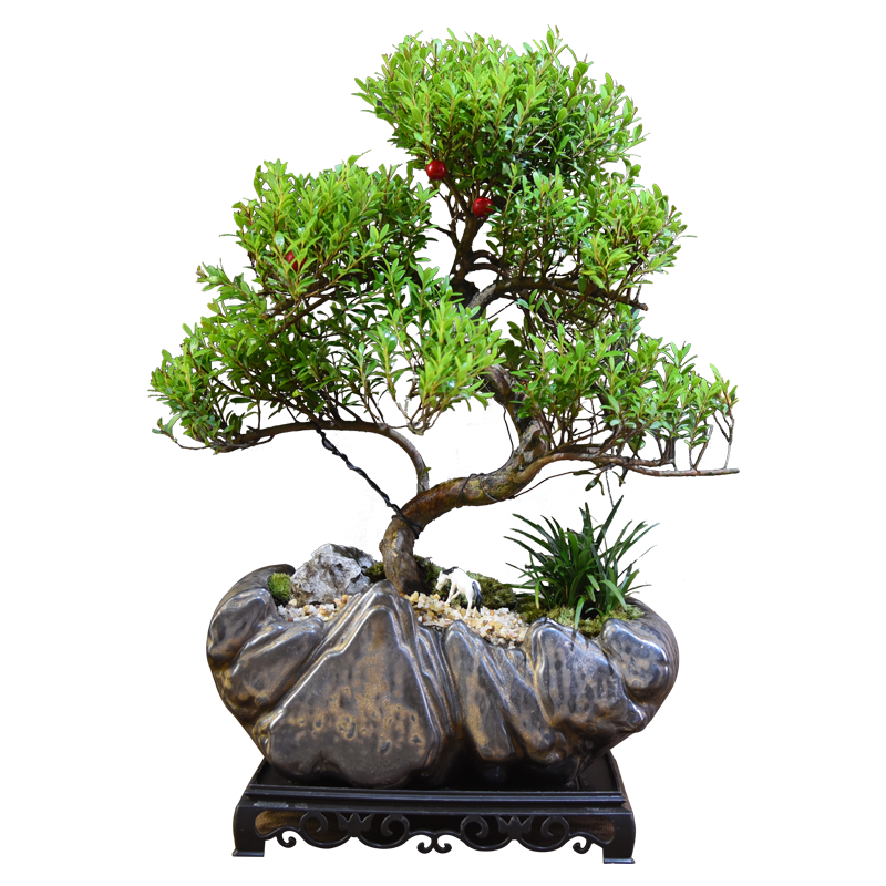 ��Ȼ�ռ���������ֲ�辰 ���ս�ɽ���ͳ��+225��+��+2Ӫ��Һ Դͷֱ�� 237.6Ԫ��2��(��118.8Ԫ/��)