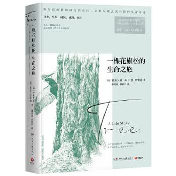 一棵花旗松的生命之旅