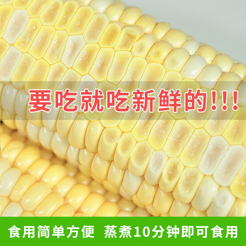 中鲜生云南水果玉米 新鲜甜玉米 现摘玉米棒 生鲜蔬菜可生吃火锅食材 9斤 水果玉米【净重】约9-16根