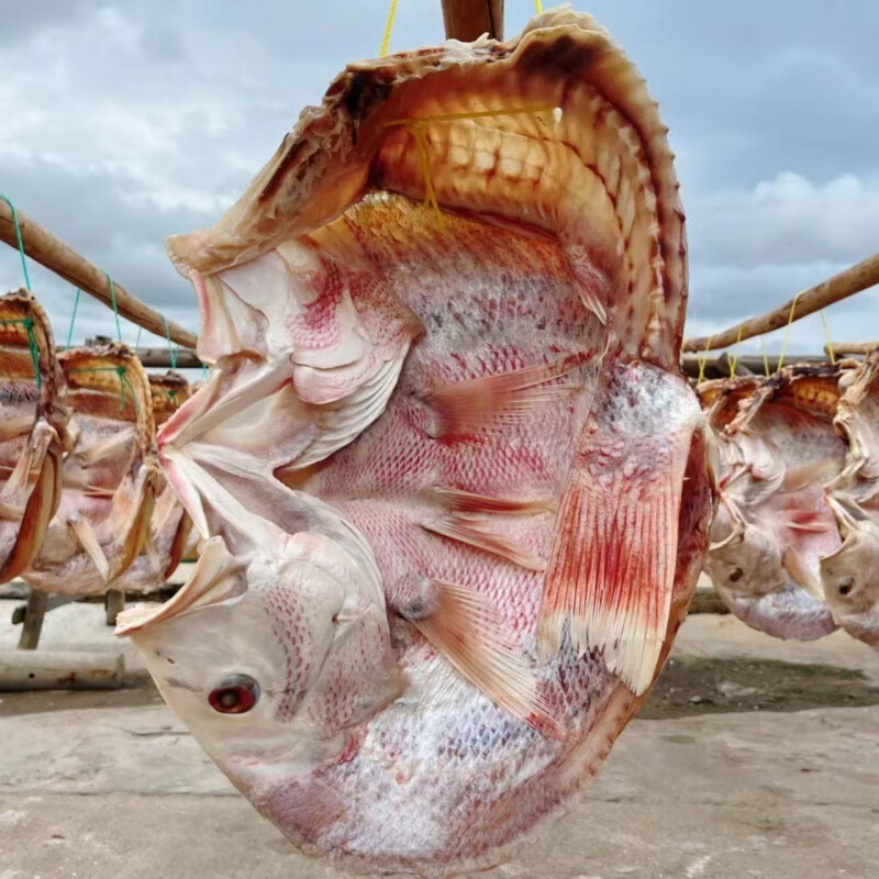 食芳溢海南儋州大红鱼干詹州特产红鱼干货批发淡干海鲜礼品 儋州大红