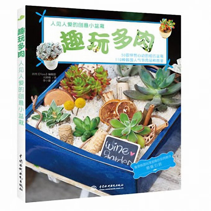 趣玩多肉(人见人爱的创意小盆栽)