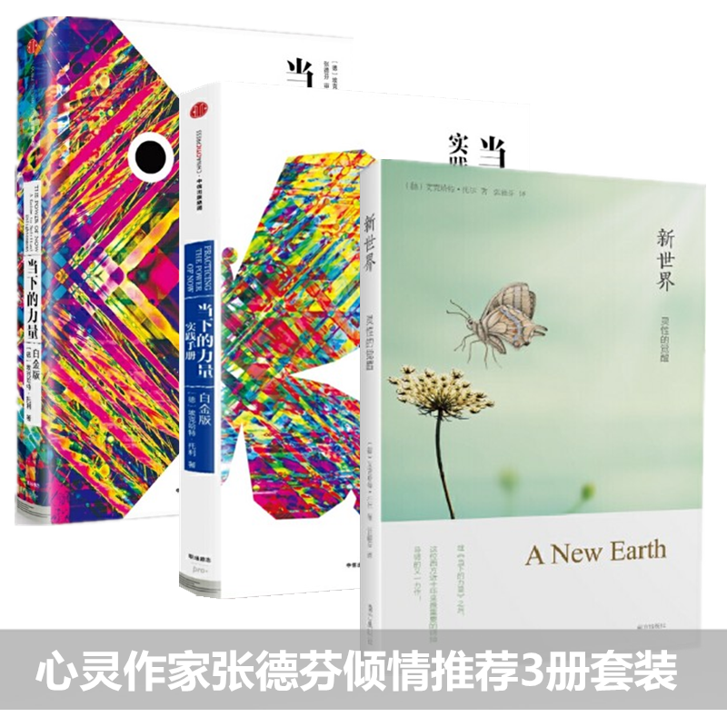 埃克哈特·托利作品（共三册）新世界:灵性的觉醒+当下的力量+当下的力量实践手册（白金版）