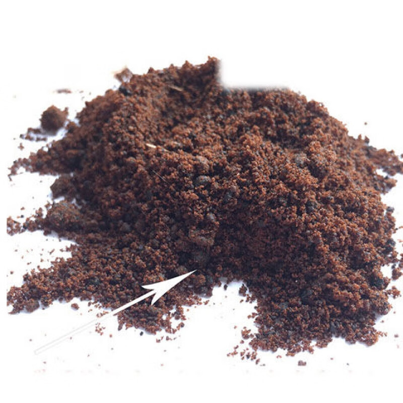 麝香中药材青海麝香人工养殖麝香粉麝香1克g人工麝香粒仁中草药用泡酒