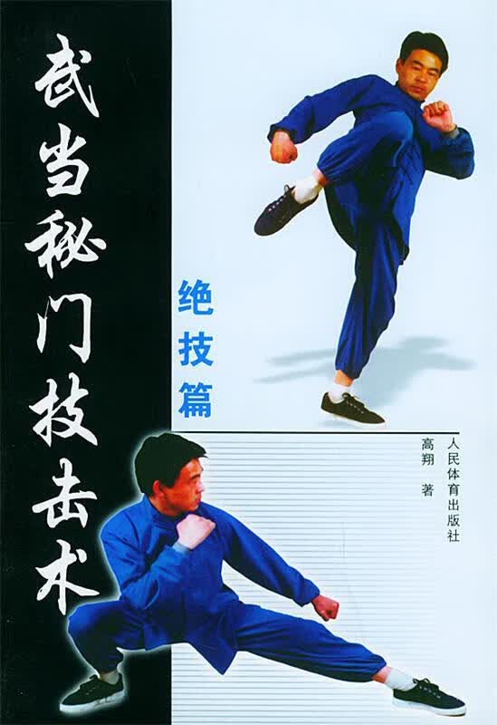 武当秘门技击术—绝技篇 高翔 著【正版书】