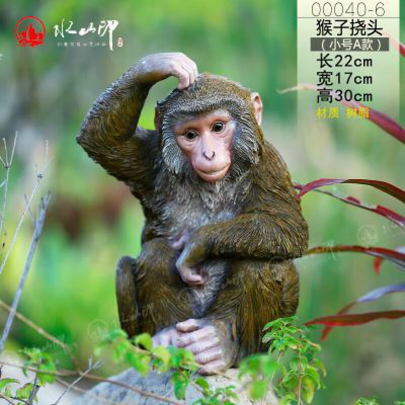 小号挠头猴子 长22cm高30cm