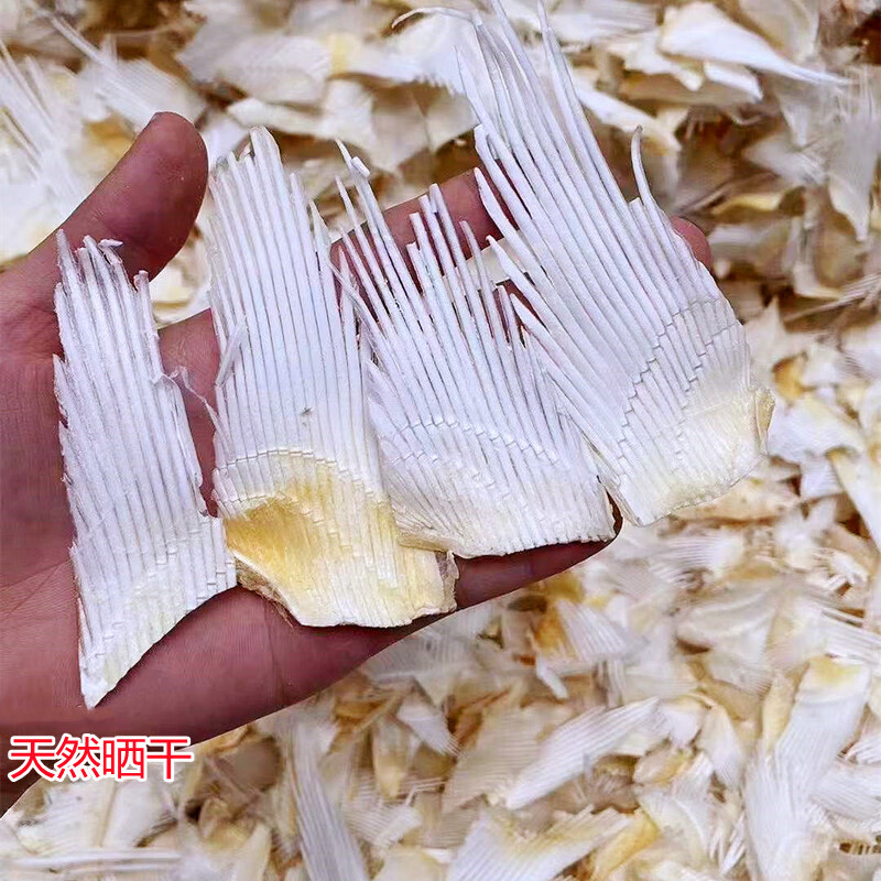 哺食旺渔民自晒小号翅骨软鱼骨头鲨鱼尾巴汤料阳江海产干货 250克鲨鱼