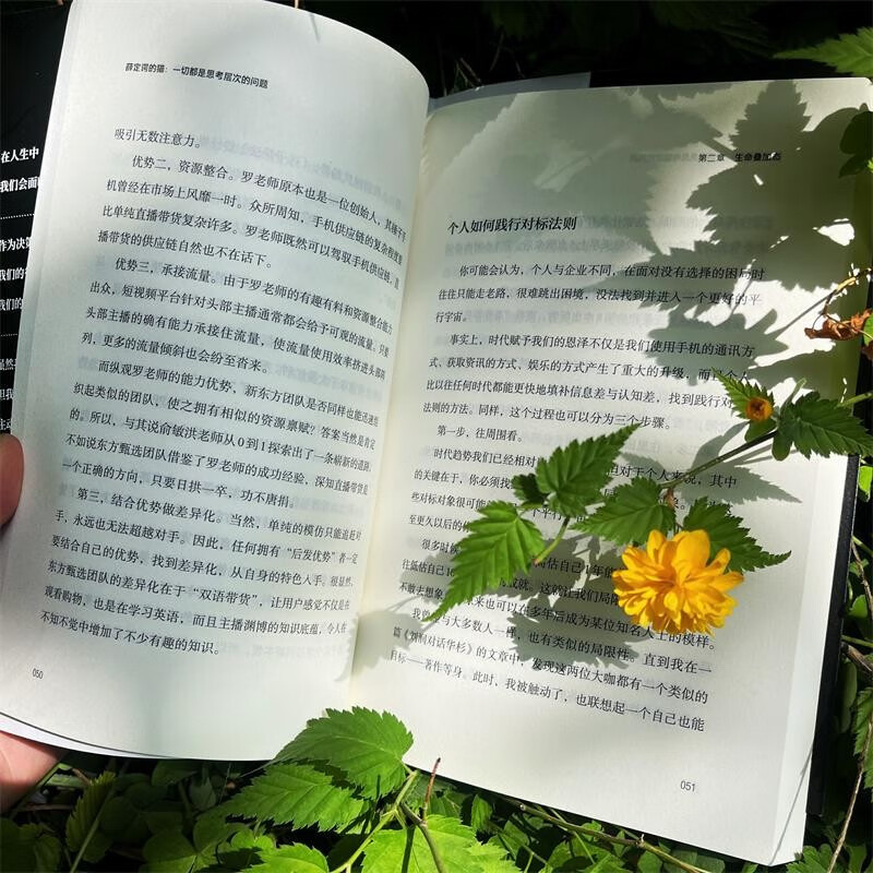 薛定谔的猫：一切都是思考层次的问题