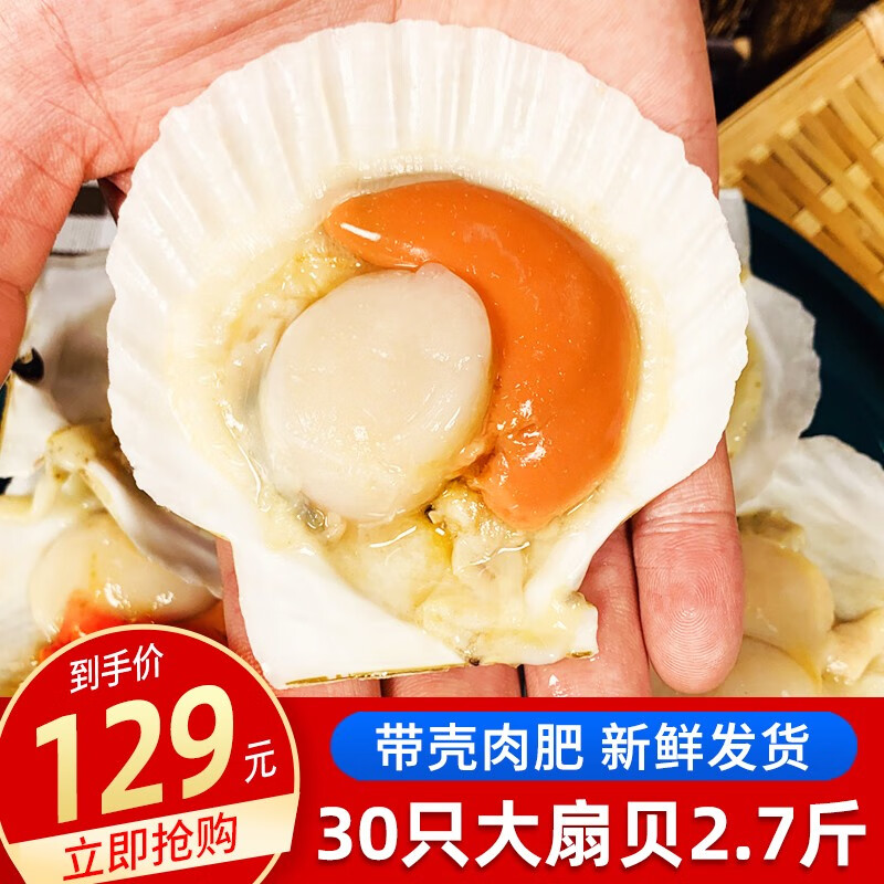 贝类活动价格历史|贝类价格历史