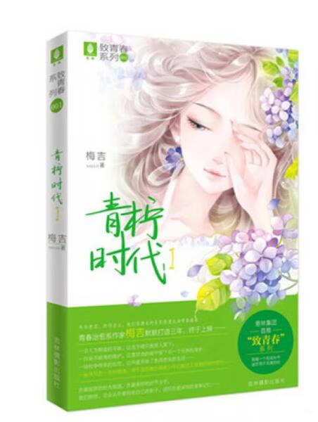 二手意林致青春系列001:青柠时代1 梅吉 9787549821105 8成新