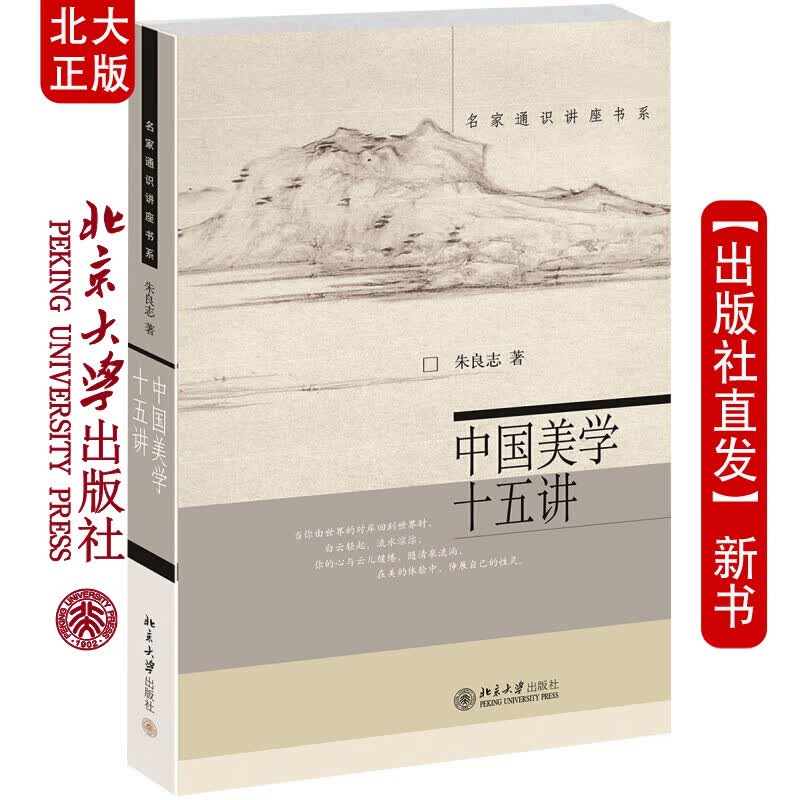 北大正版 中国美学十五讲 朱良志家通识讲座书系