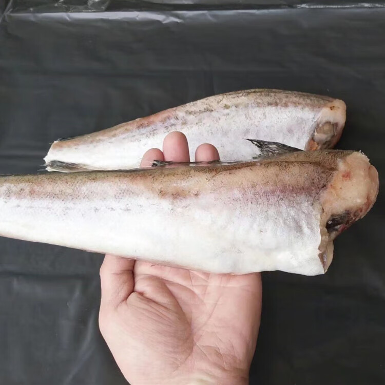 峰山冷冻无头鱼新鲜鳕鱼5斤鲜活银鳕鱼海捕狭鳕鱼海鲜水产鲜活海鱼明