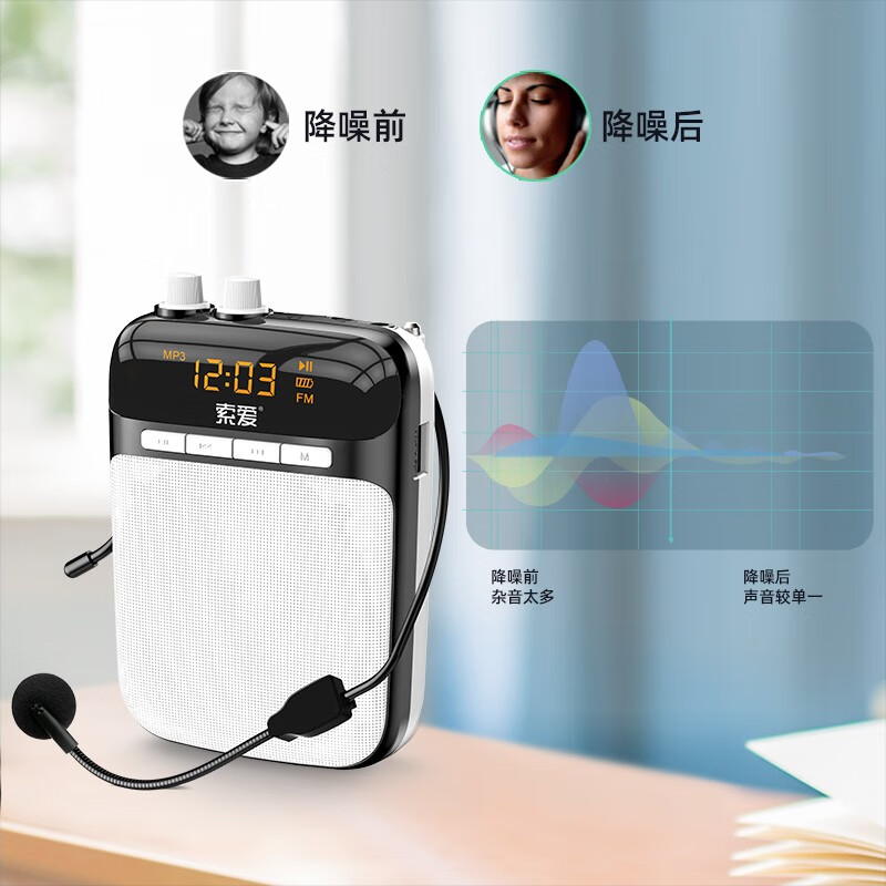 索爱（soaiy)S-318防啸叫小蜜蜂扩音器蓝牙教师专用喇叭导游收音机音箱便携麦克教讲课扩音机睿智黑