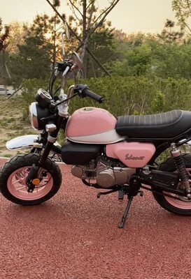 捷频适配于适配2023新款斯托纳小猴子猿猴125变档杆护杠脚挂挡后脚踏