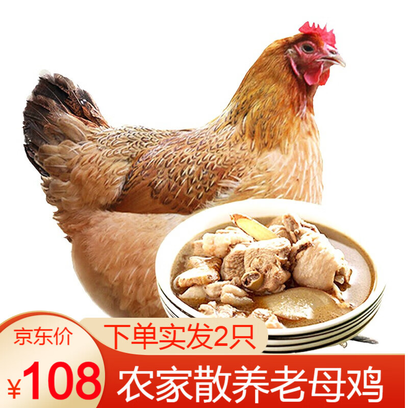 对面小城 实发2只 新鲜老母鸡肉农家散养2年柴鸡笨鸡炖汤 整鸡 鸡肉 生鲜 约1.1kg/只