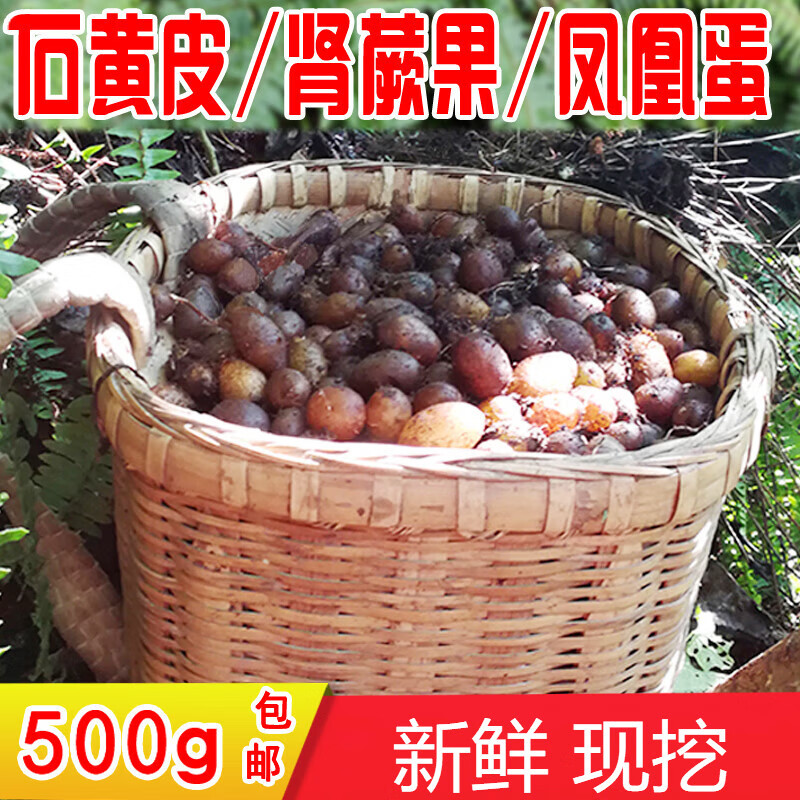 现挖野生石黄皮新鲜肾蕨果马骝卵凤凰蛋化狗儿中药材煲汤煮水500g