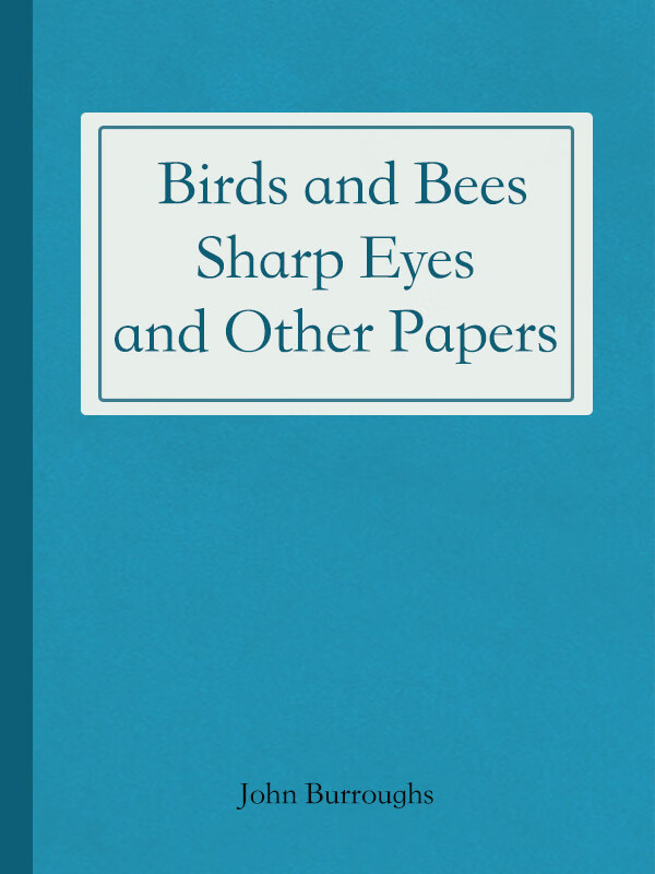 birds and bees, sharp eyes and other papers