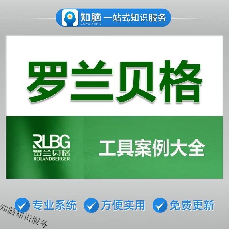 罗兰贝格工具案例大全公司咨询管理项目研究报告实操方案手册资料