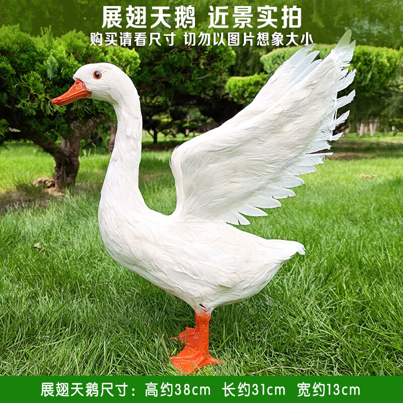 拍照大白鹅摆件室内园林草地装饰鹅摄影拍照道具鹅鸭子 展翅鹅38*31cm