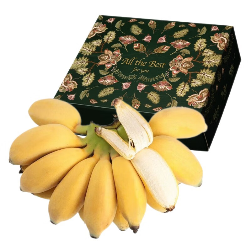 广西小米蕉 新鲜皇帝蕉时令糯米蕉小香蕉当季热带水果甜香蕉整箱 9斤
