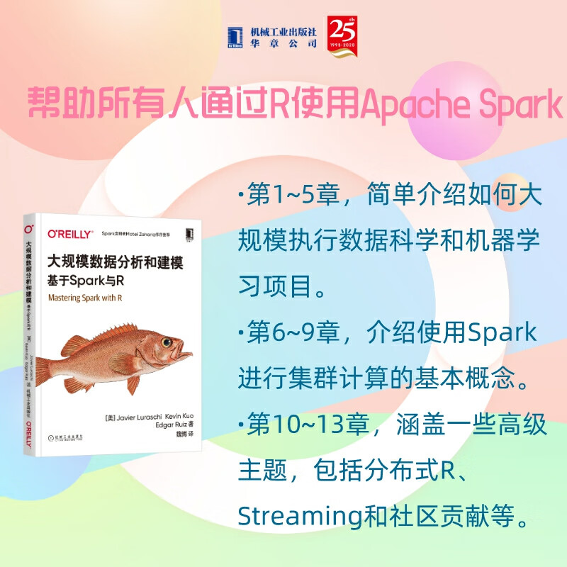 大规模数据分析和建模：基于Spark与R详情图