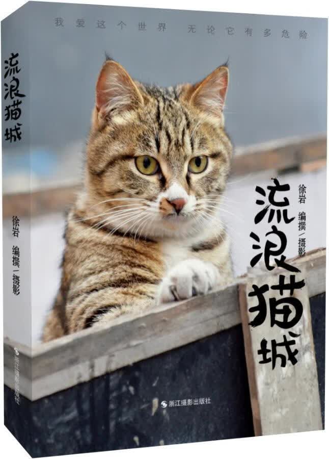 流浪猫城 徐岩撰摄影 摄影 9787551423427