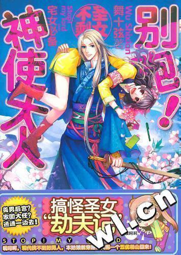 别跑！神使大人（百万点击！晋江人气大作。美男后宫，家国大任，两手抓两手都要硬！搞怪圣女劫夫记，恋爱也