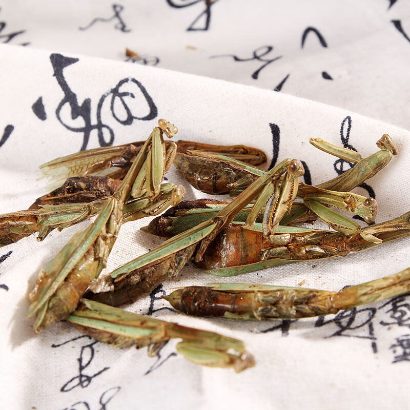 螳螂 药食滋补螳螂干 刀螂 昆虫类保质20克 20克 【中药材螳螂干】