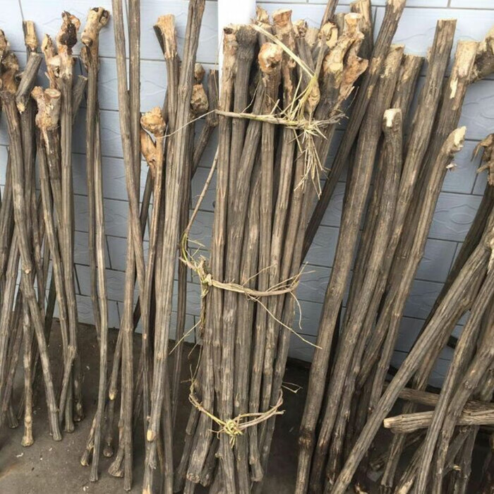 沁度六道木鞭杆 五台山原木 降龙木拐杖 九道木鞭杆 棍 直棍 短棍snht