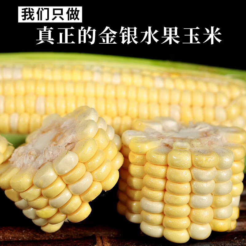 中鲜生云南水果玉米 新鲜甜玉米 现摘玉米棒 生鲜蔬菜可生吃火锅食材 9斤 水果玉米【净重】约9-16根
