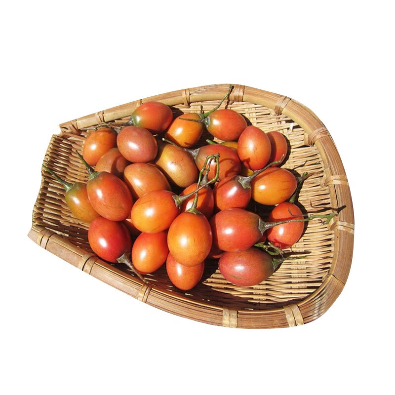 ZXC云南树番茄 新鲜洋酸茄大树番茄 洋鸡蛋果缅茄 1斤 0.5kg