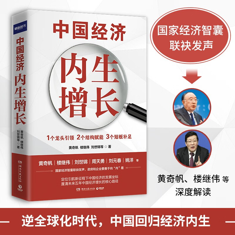 中国经济：内生增长（楼继伟、刘世锦、刘元春、姚洋……国家经济智囊联袂解读中国经济增长新势能）怎么看?