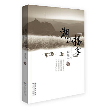 湖山“播客” 鲍红志 长江文艺出版社 9787535492692