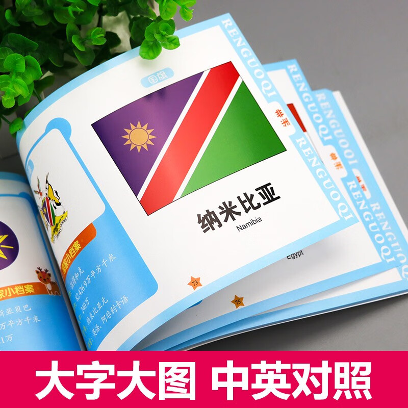 童眼看世界 升级版 助力孩子轻松认知详情图