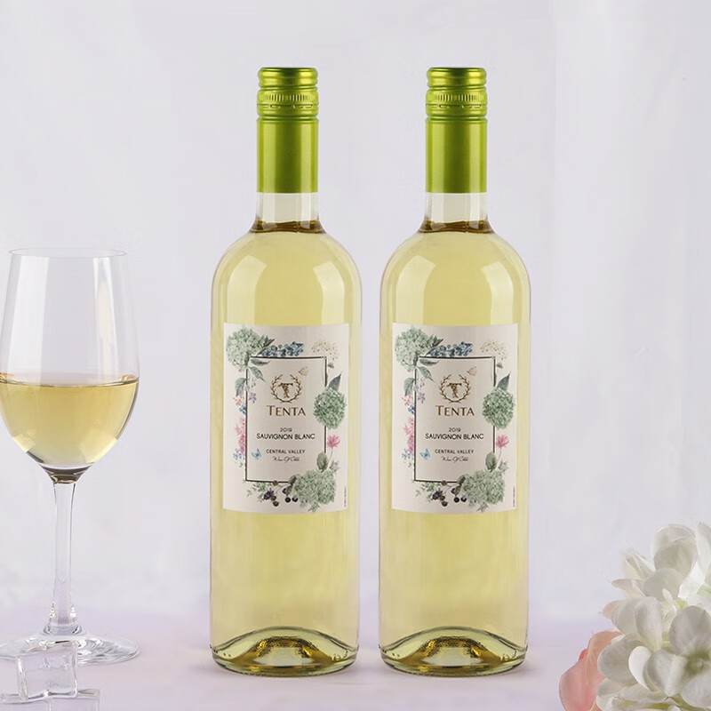 天帕（TENTA）智利中央山谷原装原瓶进口 天帕长相思干白葡萄酒13度750ml 2支装