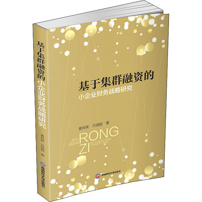 基于集群融资的小企业财务战略研究