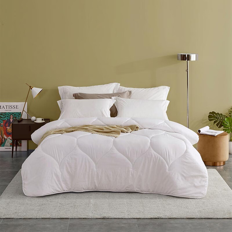 LUOLAIҷıо˫˱ӴϱTGɯỨά ů޶ 200*230cmʵ699Ԫ