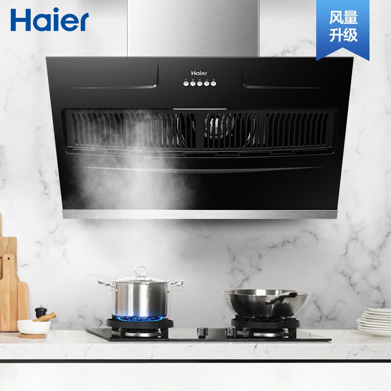 海尔（haier）油烟机 17大吸力 台阶式导烟 升级外观 易清洁 侧吸式 家用抽油烟机 CXW-219-E900C2