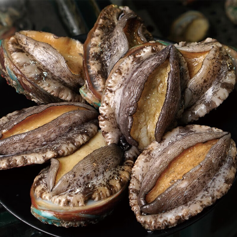 伯贤 大鲍鱼 青岛大鲍鱼500g 新鲜海捕九孔鲍鱼海鲜水产 500g