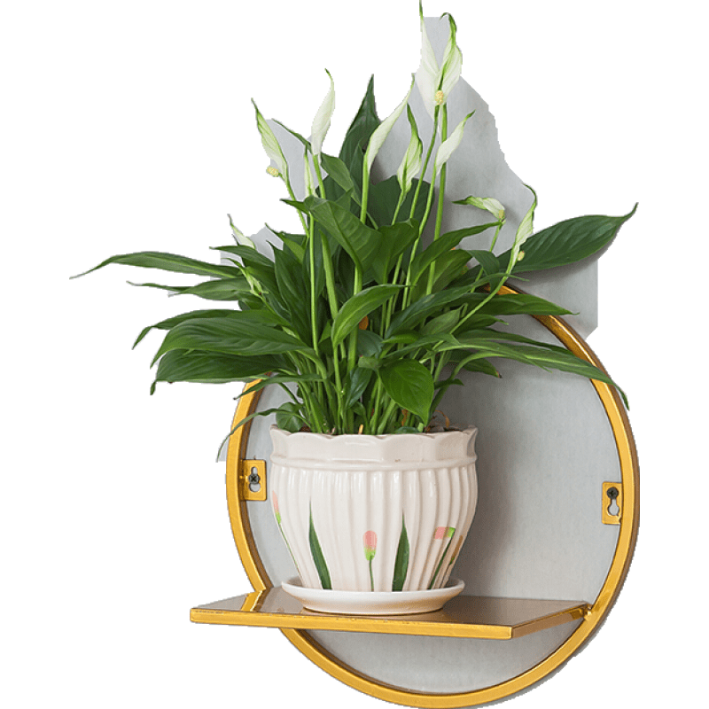 壁挂花架简约阳台壁挂式花盆架餐厅墙面花篮架客厅墙上绿萝置物花架免打孔 款式A金色(默认打孔) 免打孔备注墙面