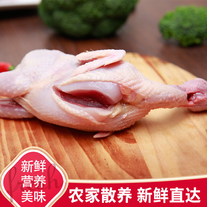 生鹌鹑新鲜大母鹌鹑肉冷冻白条活体鹌鹑肉炖汤烧烤油炸食材生骨肉现杀