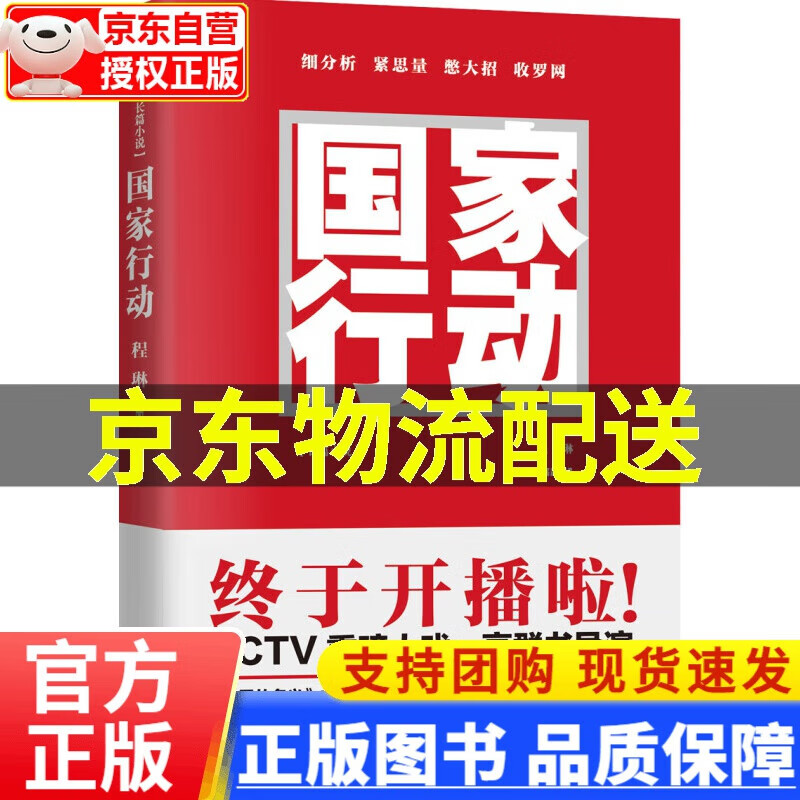【正版】国家行动 程琳著 张译主演同名电视剧原著小说长篇反腐刑侦 人民的名义天局同类 官场小说现当代文学 书籍扫黑大剧 红色